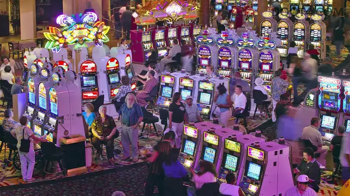 App dqq slots mobile